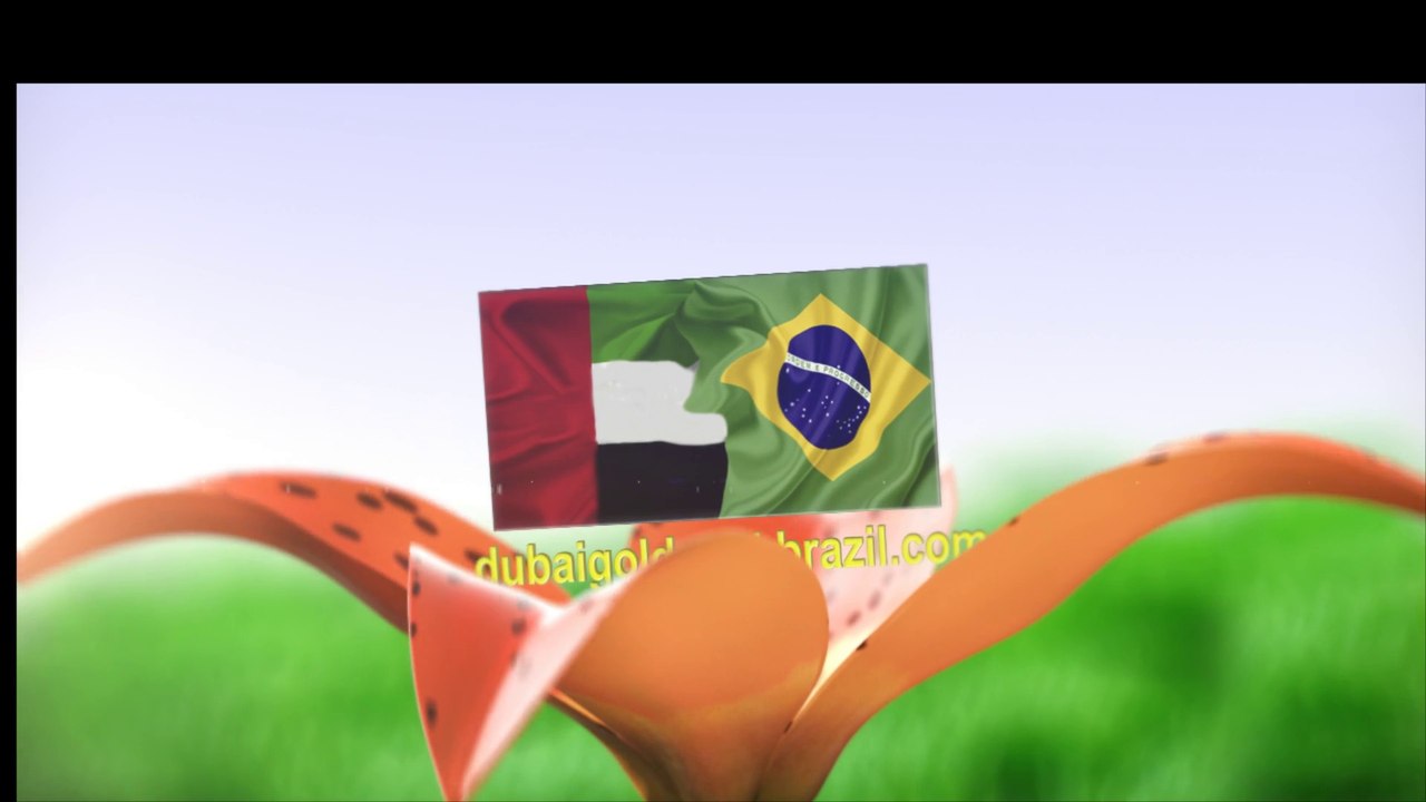 dubaigoldsoukbrazil.com