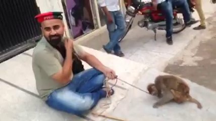 Very Funny Monkey Is Maryam Nawaz Must Watch Go Nawaz GO -videosvim.com