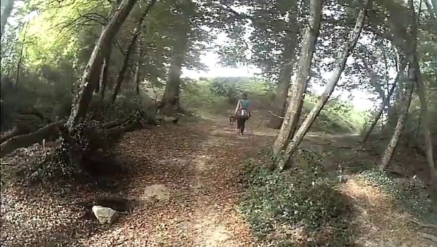 walis en recherche utilitaire type brevet