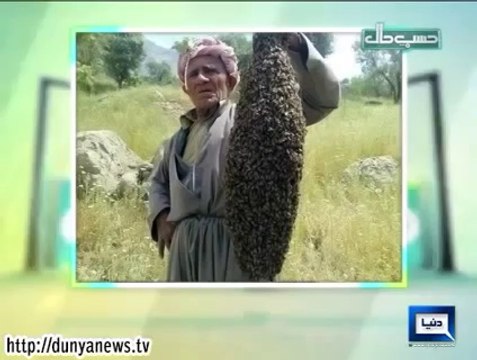 Dunya News Hasb e Haal 9th October 2014 (9 Oct 2014) Hasb-E-Haal 9-10-2014