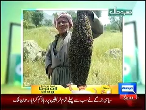 Dunya News Hasb-E-Haal 9 October 2014 - Hasb E Haal 9-10-2014