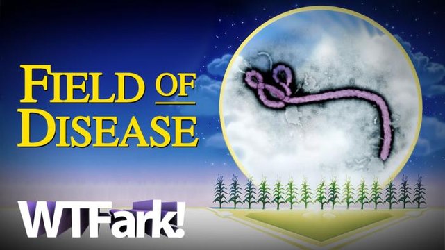 FIELD OF DISEASE: Italian Farmer Carves Ebola Virus Crop Circle Into His Field. (No, This Is Not A Sequel To M. Night Shyamalan's Signs.)