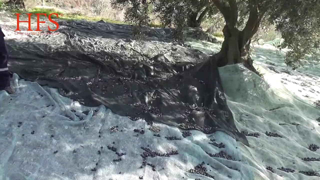 Zeytin Silkeleme - Zeytin Toplama Makinası
