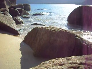 Expedição, Arquipélago do Prumirim, Natureza Marinha, Selvagem, Praias, Mares, Ubatuba, SP, Brasil, Marcelo Ambrogi, (22)