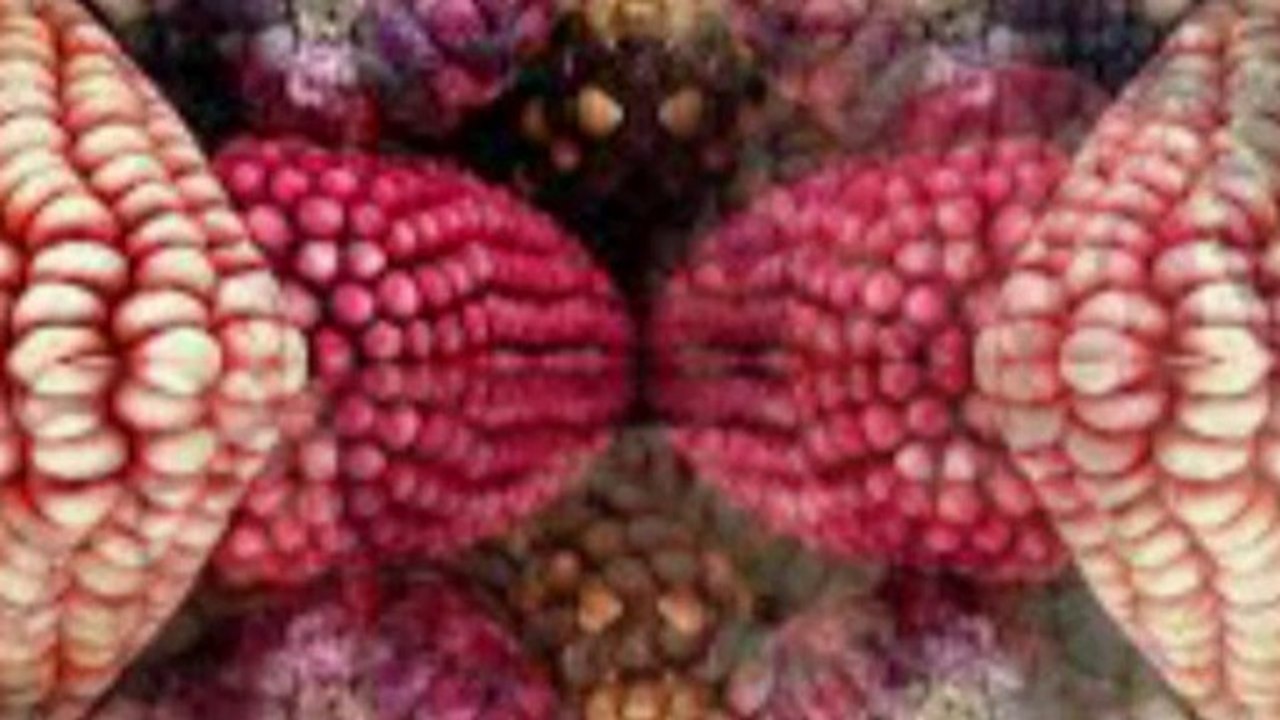 urzeit code Schwachsinn! Hier wichtige Fragen