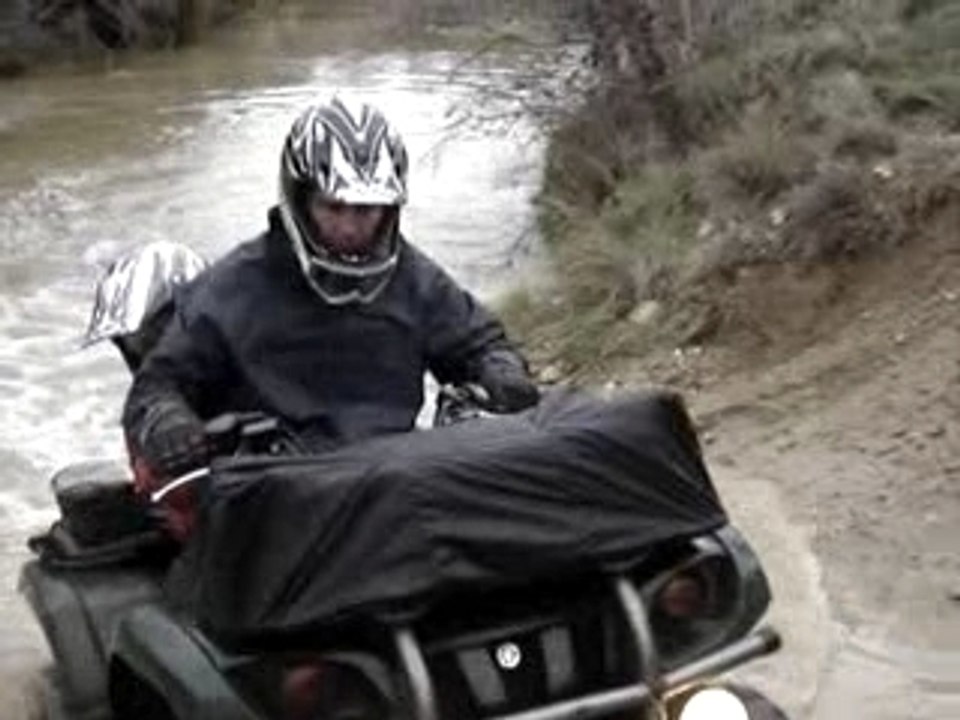 Quad grizzou