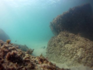 Expedição, Arquipélago do Prumirim, Natureza Marinha, Selvagem, Praias, Mares, Ubatuba, SP, Brasil, Marcelo Ambrogi, (32)