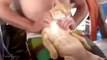 Funny Cats Compilation ~ Cute Cat Videos ~ Best Fail Kittens Compilations - Video Dailymotion