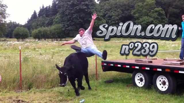 Le Zap de Spi0n n°239 - Zapping Web