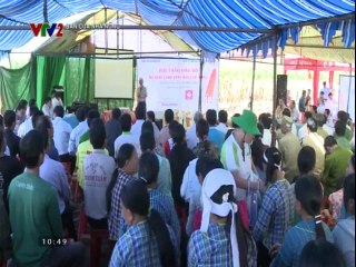 Hiệu quả từ canh tác giống ngô CP 501- Nghề nông