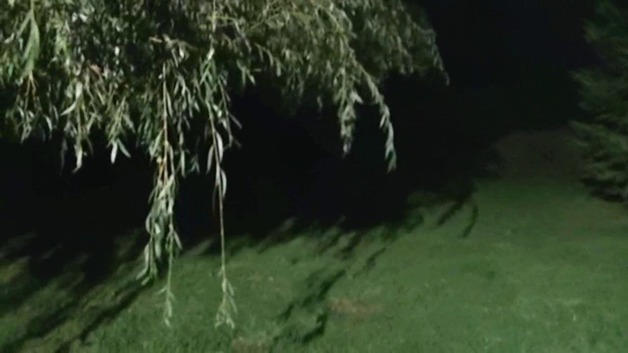 Les câlins de Festje & de Docteur Jones de Staffordland