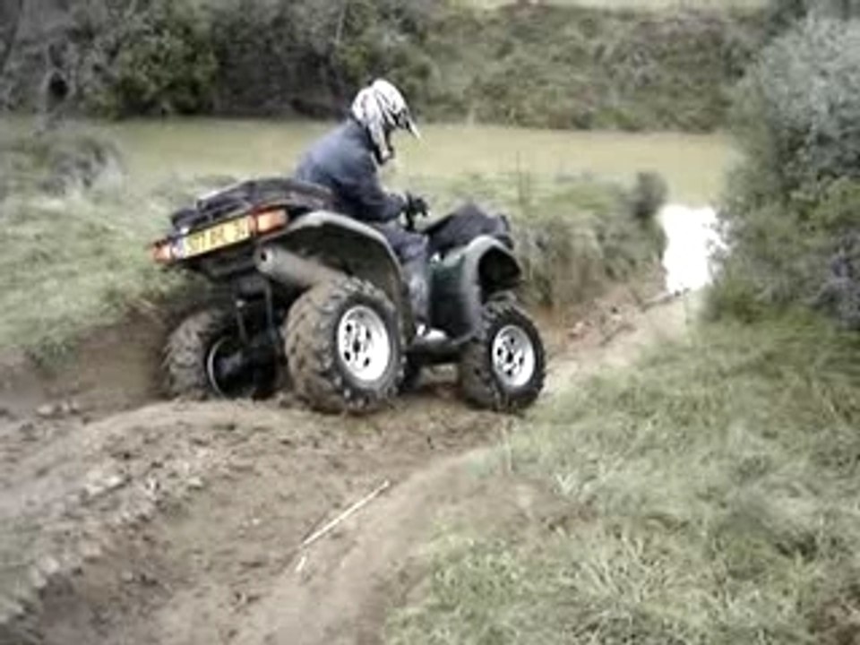 Action grizzou