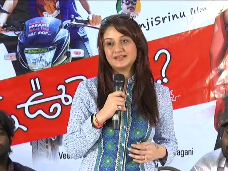 Amma Nanna Oorelithe  press meet video