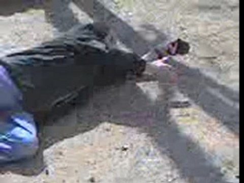 jean paul a jm zoo 91300