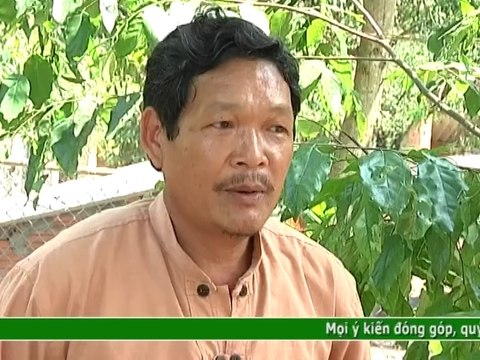 Kỹ thuật phòng trị bệnh phấn trắng và bệnh lở cổ rễ trên cây ớt- Nghề nông