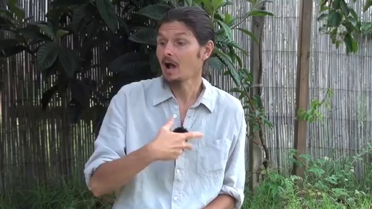 bienêtreaujus Fatigue chronique épuisement burn out 4 sexualité puisement et solutions-_-www.regenere.org