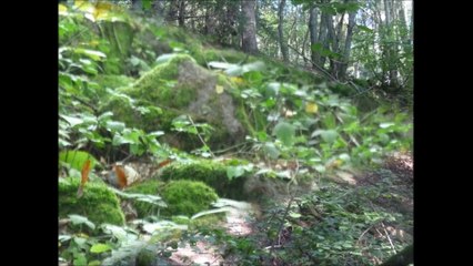 Sortie Geologie