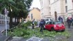 Une branche d'un arbre chute sur des voitures devant la mairie de Tarbes