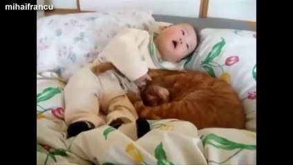 Des chats avec des bébés