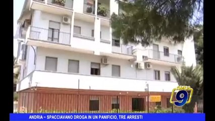 Download Video: ANDRIA | Spacciavano droga in panificio, 3 arresti