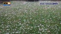 Témoins BFMTV : Orages dans l'Aude, des grêlons de la taille d'une balle de golf