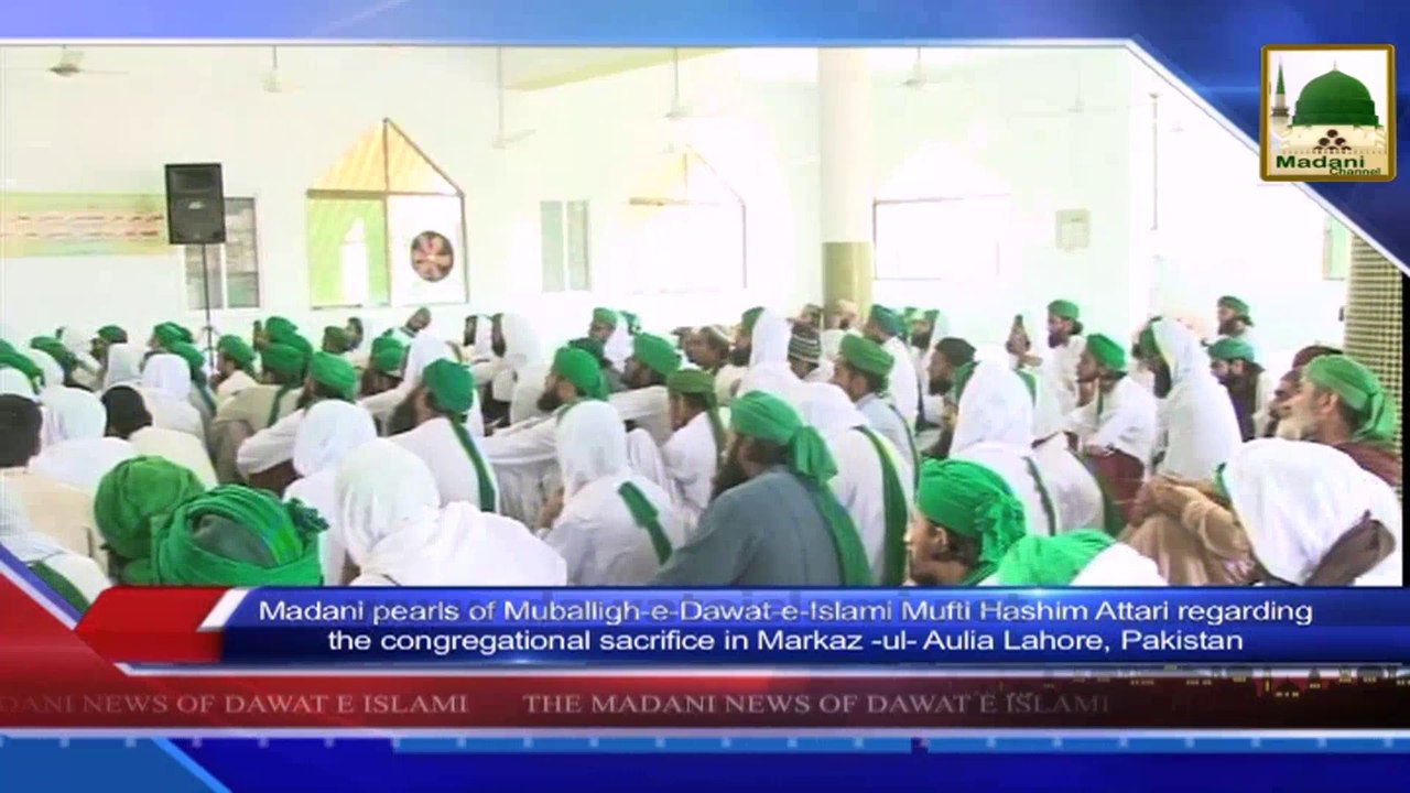 News Clip - 20 Sept - Maulana Mufti Hashim Attari Presents Madani Pearls Regarding The Congregational Sacrifice (1)