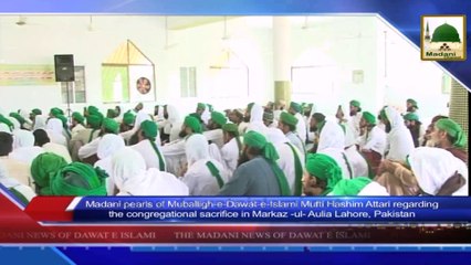 News Clip - 20 Sept - Maulana Mufti Hashim Attari Presents Madani Pearls Regarding The Congregational Sacrifice (1)