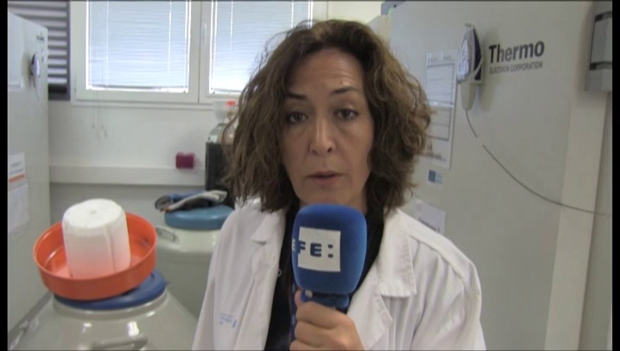 ¿Para qué se crioconservan las células cancerígenas?