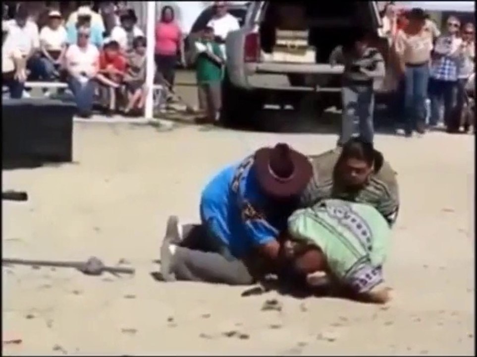 Crocodile Attack usk 18...