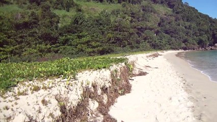 Expedição, Arquipélago do Prumirim, Natureza Marinha, Selvagem, Praias, Mares, Ubatuba, SP, Brasil, Marcelo Ambrogi, (54)