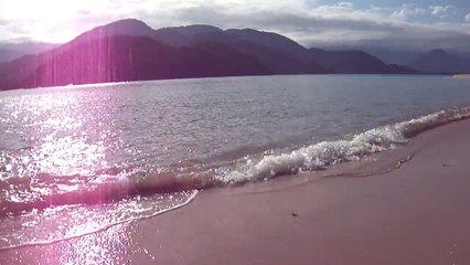 Expedição, Arquipélago do Prumirim, Natureza Marinha, Selvagem, Praias, Mares, Ubatuba, SP, Brasil, Marcelo Ambrogi, (58)