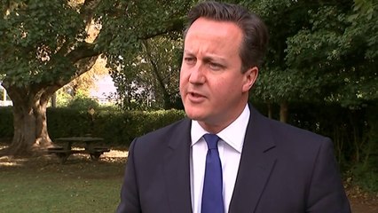 Cameron: Ukip voters in danger of getting Labour government