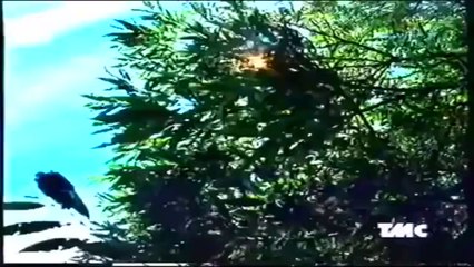 mitsubishi pajero pinin spot (1999)