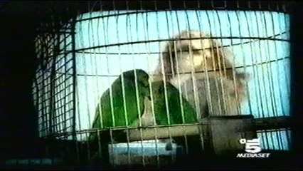 opel corsa sw spot (1998)