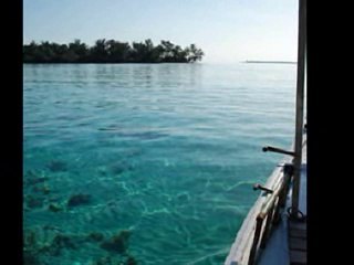 “유pd′yupd1com” satiric기장안마걸