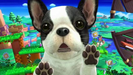 Wii U Super Smash Bros Launch Date Trailer