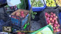 Çelpez.Tv:Fruta que vende Mulher-Meyve Satan Kadın Korkuteli-Antalya