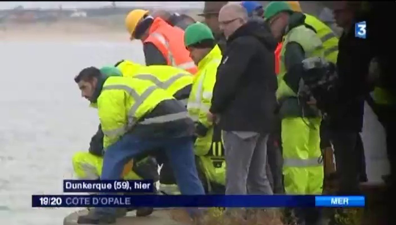 jt_local_19_20_cote_d_opale 09-10-2014 19-18