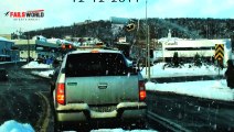 Bear Waiting At Traffic Lights - Fails World