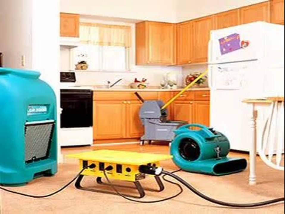 Nymoldpro- Water Damage Restoration