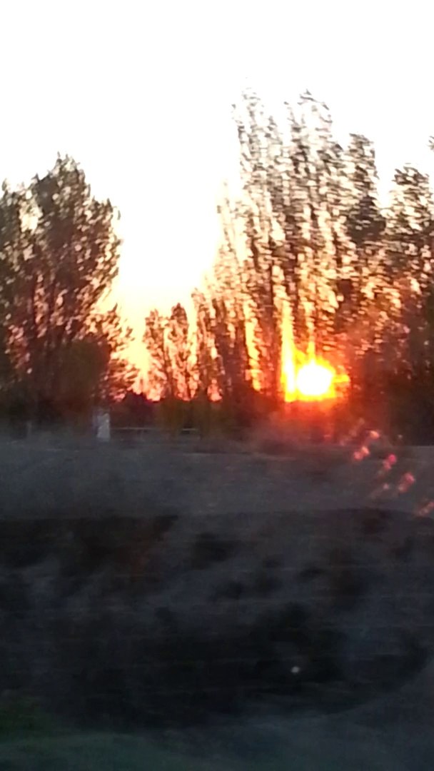 ⁣Un jolie coucher de soleil avec rihana et eminem