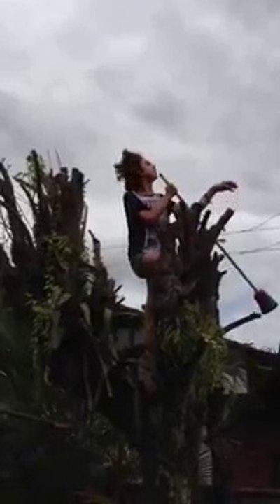 Dumb guy singing in a tree, electrocuted by Wires!