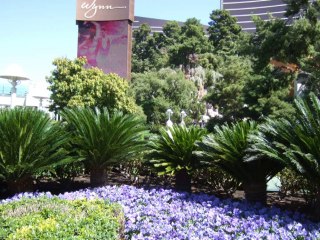 7a e 8a Las vega e Calico  2013  FOTOGRAFIE