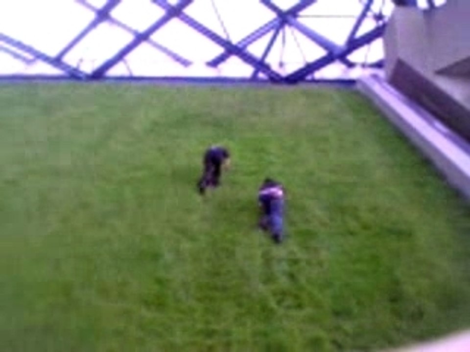 escalade par ptifat et didou