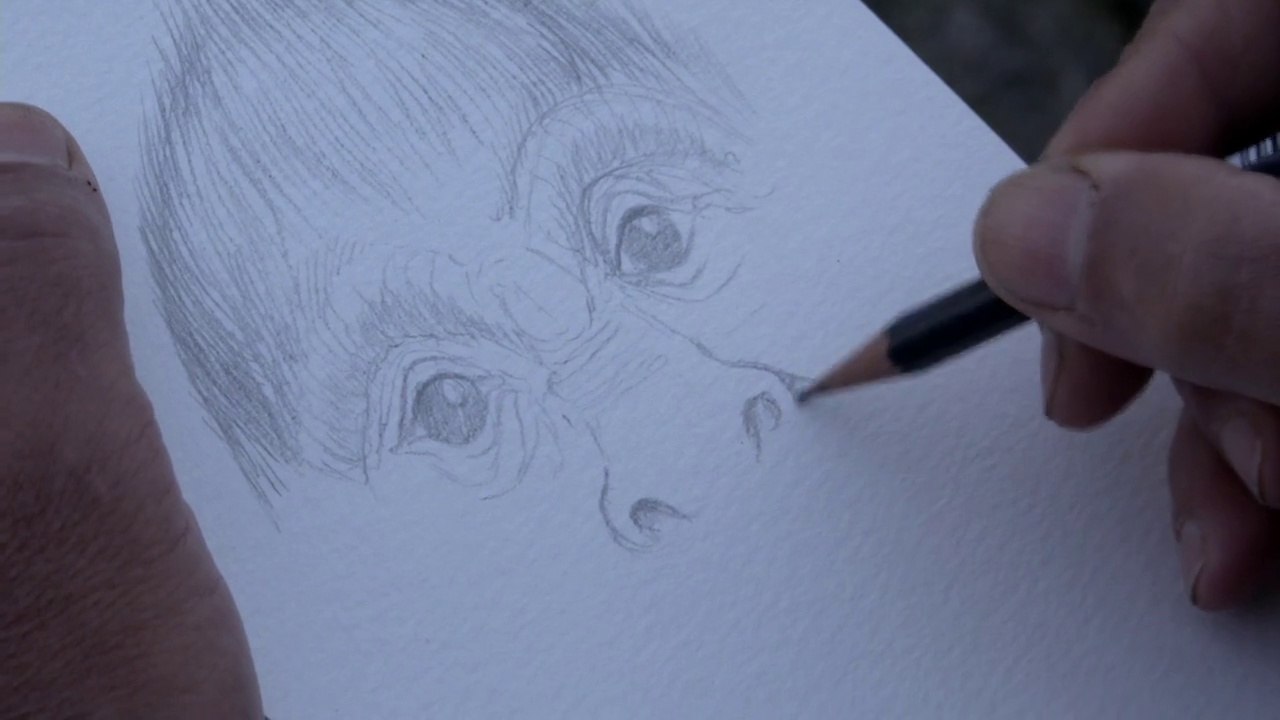 Au cœur de la forêt du Sasquatch (Teaser HD)