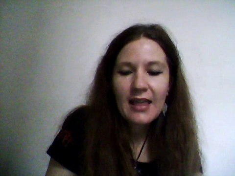 Chronique Mozart Opéra Rock le Concert.