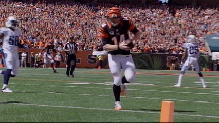 Preview: Carolina Panthers vs. Cincinnati Bengals