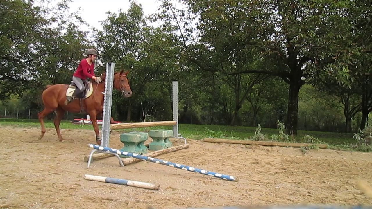 Chips 10-10-14 saut1