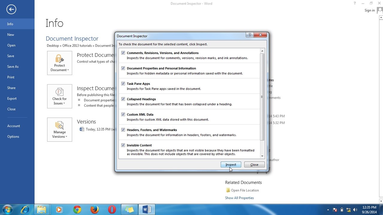 Document Inspector