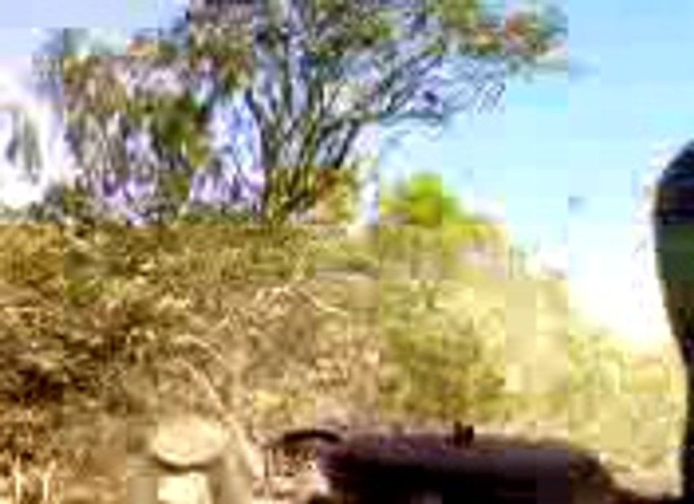 Un bulldozer defonce des arbres